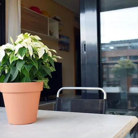 Lejlighed Apartacona-playa *